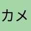 カメコメカメコメ