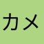 カメハメだったよ