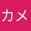 カメラがダメ