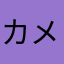 カメラさんた