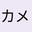 カメラカメラマン