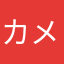 カメラ猫