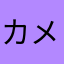 カメラ販売員