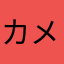 カメラ高かった