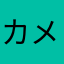 カメリア超お嬢