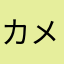 カメレオン99