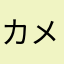 カメ主
