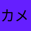 カメ先輩