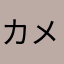 カメ噛む