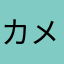 カメ梨さん