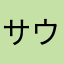 サウザー13