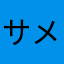 サメちゃん　