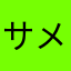 サメ子、。