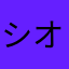 シオン天草