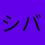 シバシバセキ芝