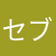セブンサラダ