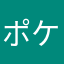 ポケパークレビュー