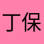 丁保.油价格