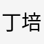 丁培元
