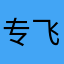 专飞