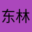 东林散修
