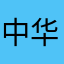 中华飞龙110