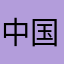 中国武警¥