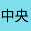 中央政府人民法院
