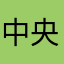 中央政府副主席