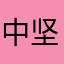 中心广场法国 v 坚持故地重游