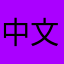 中文去哪裡了