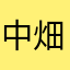 中畑アドン志ミバトンジュニ仁