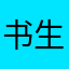 书生蛋炒饭