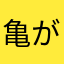 亀が大好きすぎる人