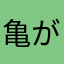 亀が好き