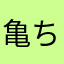 亀ちゃん2356