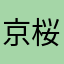 京華月 桜