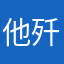 他歼击机