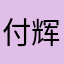 付辉.
