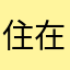 住在星星的海豚