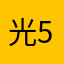 光529