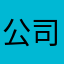 公司高管