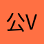 公司 v 是 v