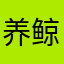 养鲸鱼的大布丁