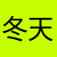 冬天的太阳花