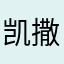 凯撒5316