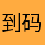 到码头整点海鸥
