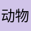 动物园小则99