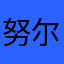 努尔爱评价