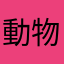 動物們